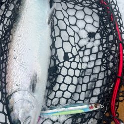 オフショアジギングin羅臼