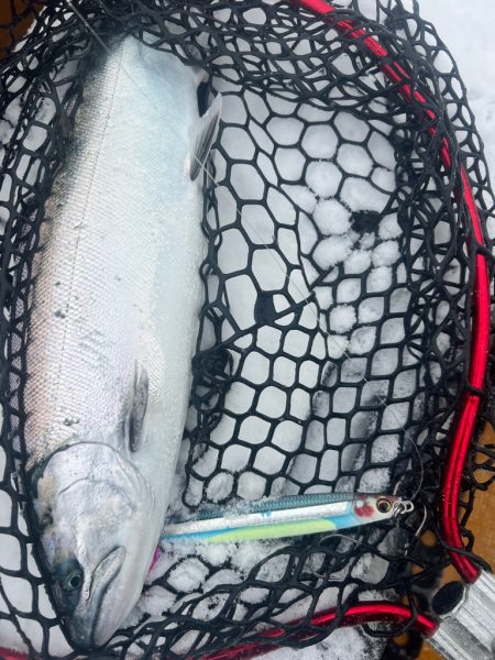 オフショアジギングin羅臼