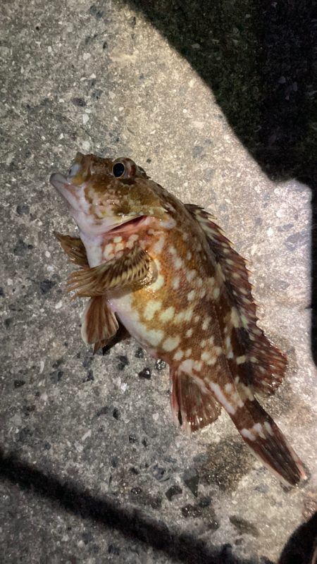 新年！トリプルクロスでライトゲーム！