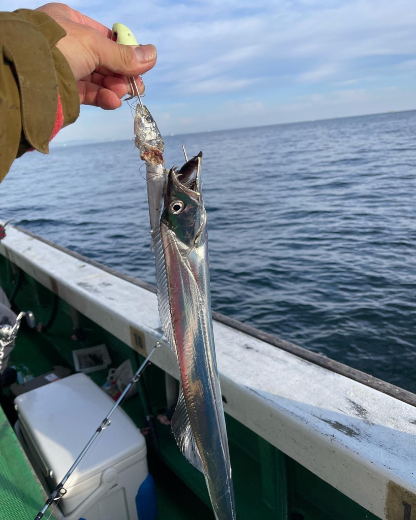 激渋タチウオ釣行