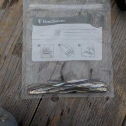 ワカサギ第6戦（佐仲ダム）