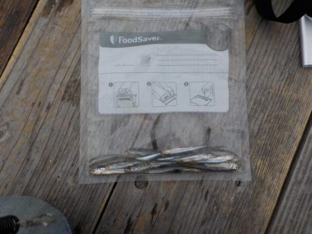 ワカサギ第6戦（佐仲ダム）