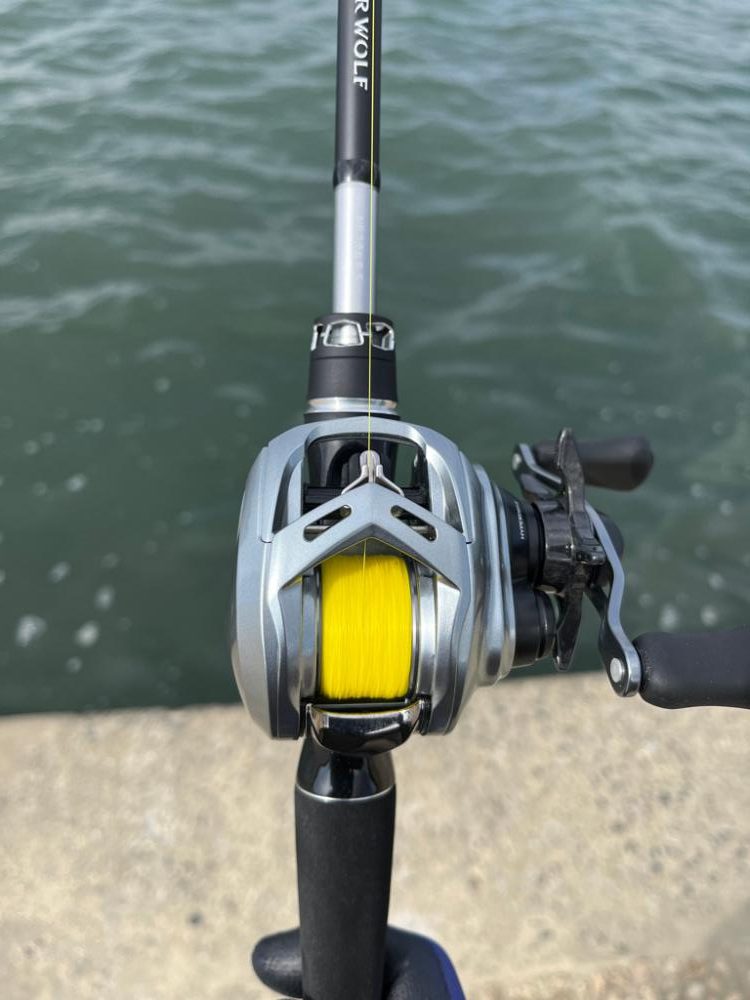 冬チニング其のニ