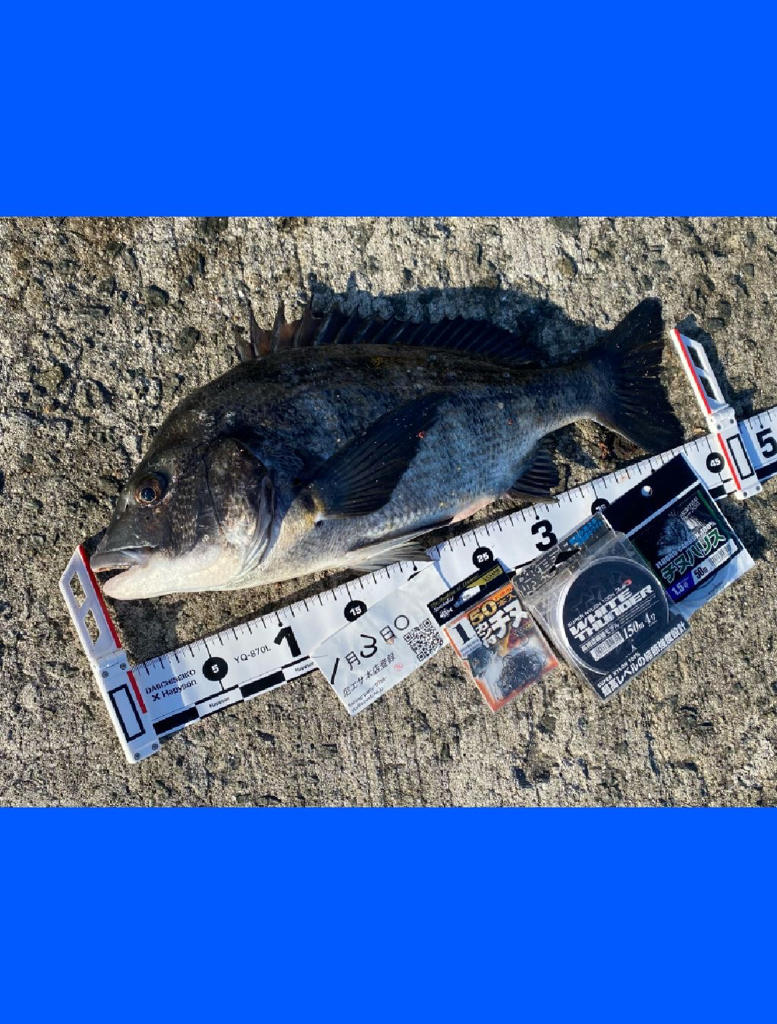 満潮前の時間帯