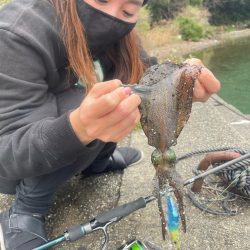 人生初イカ！！