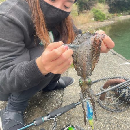 人生初イカ！！