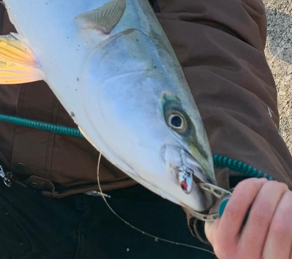 新年初フィッシュ‼︎