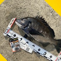 いつもより少し遅く釣りスタート