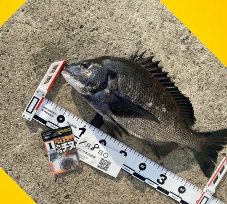 いつもより少し遅く釣りスタート