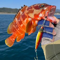 のませで良型ヒラメをゲット