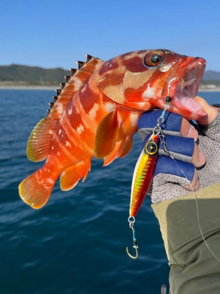 のませで良型ヒラメをゲット