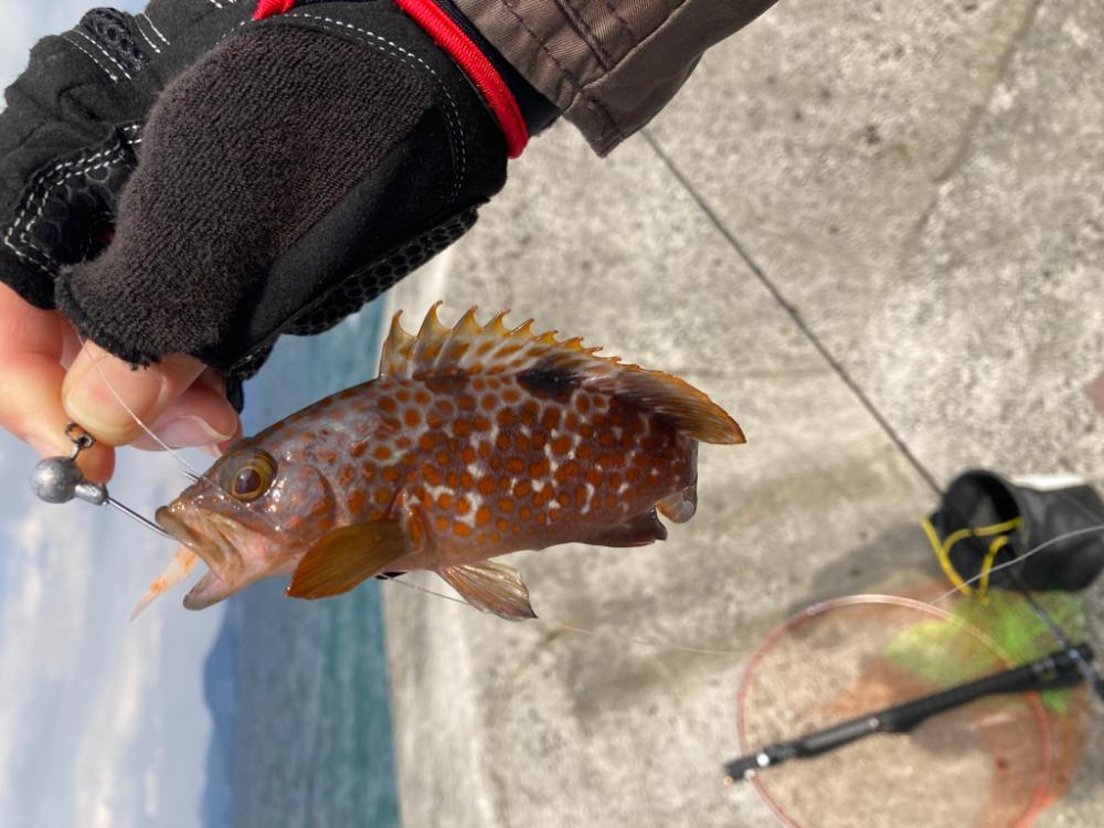 擬似延竿釣り