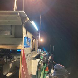 今年初イカメタル