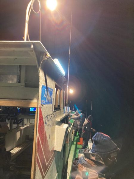 今年初イカメタル