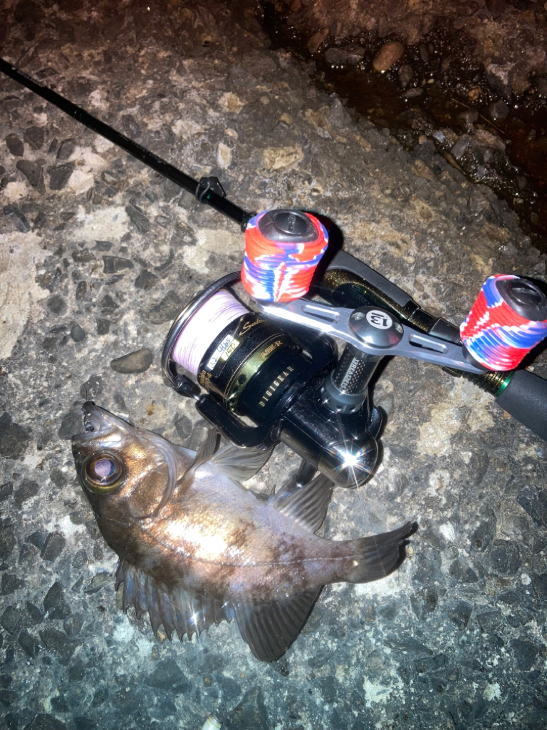 初釣り メバルとアジと