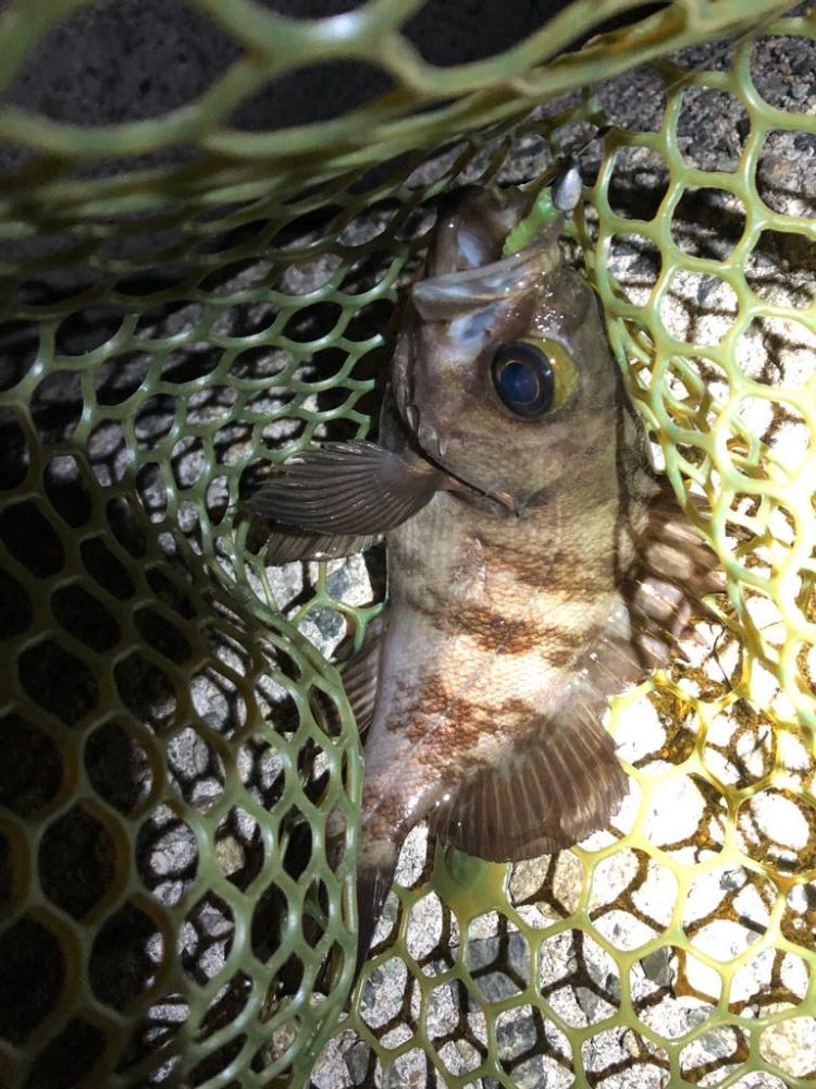 4打数3安打（4バイト3ゲット）