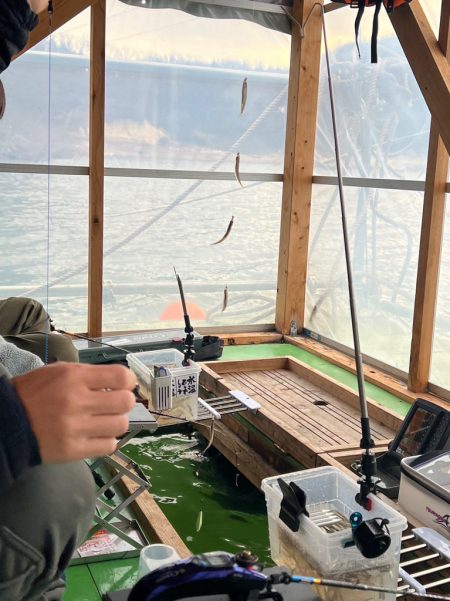 花山湖ワカサギ釣行