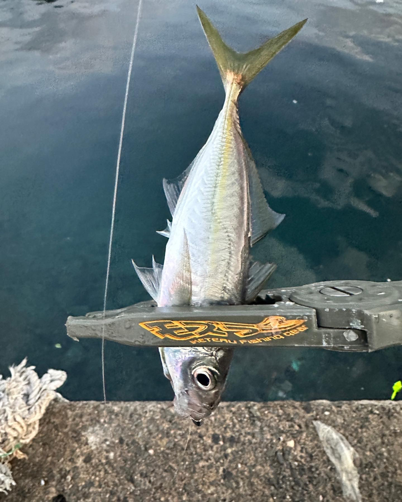 正月休み最後に