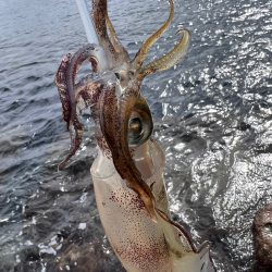 久しぶりに会えました⭐︎