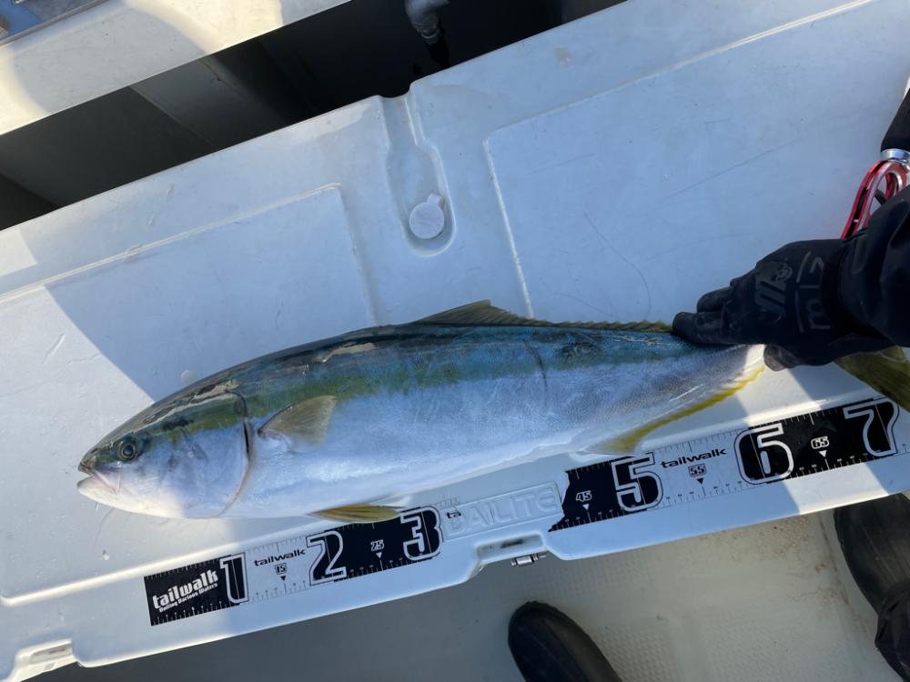 丹後沖ジギング