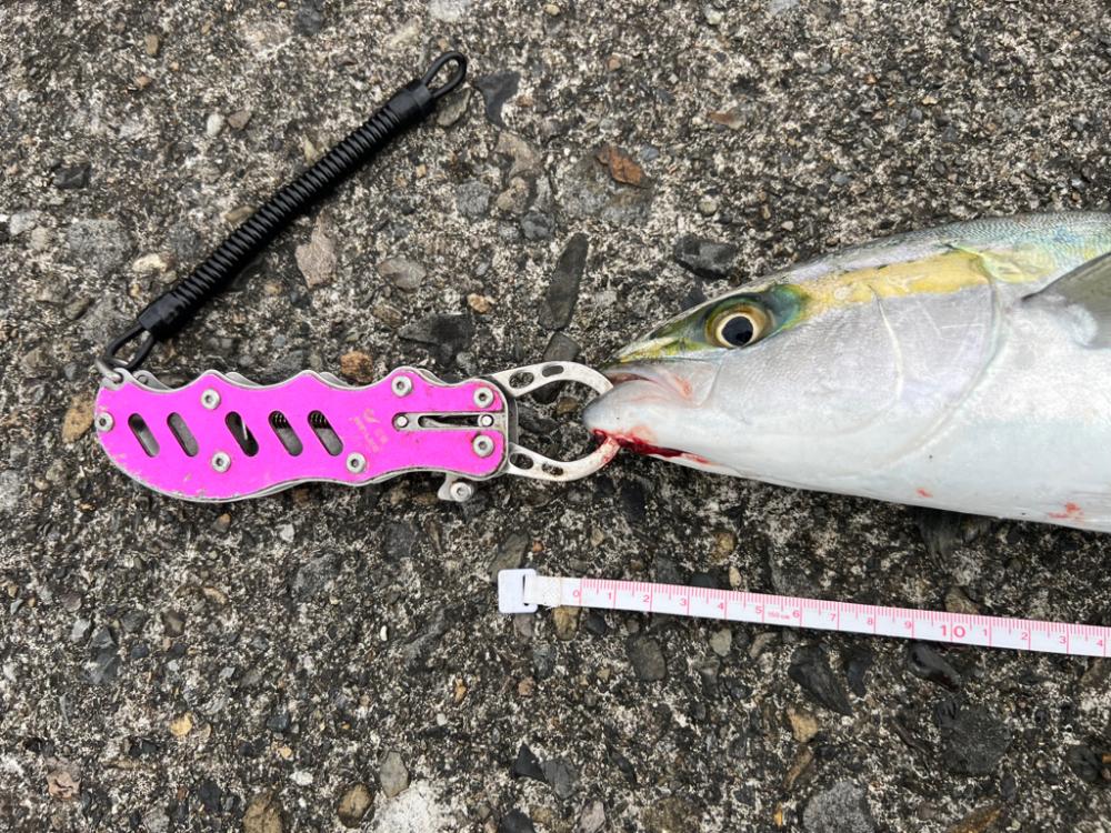 強風の中バレットブル！