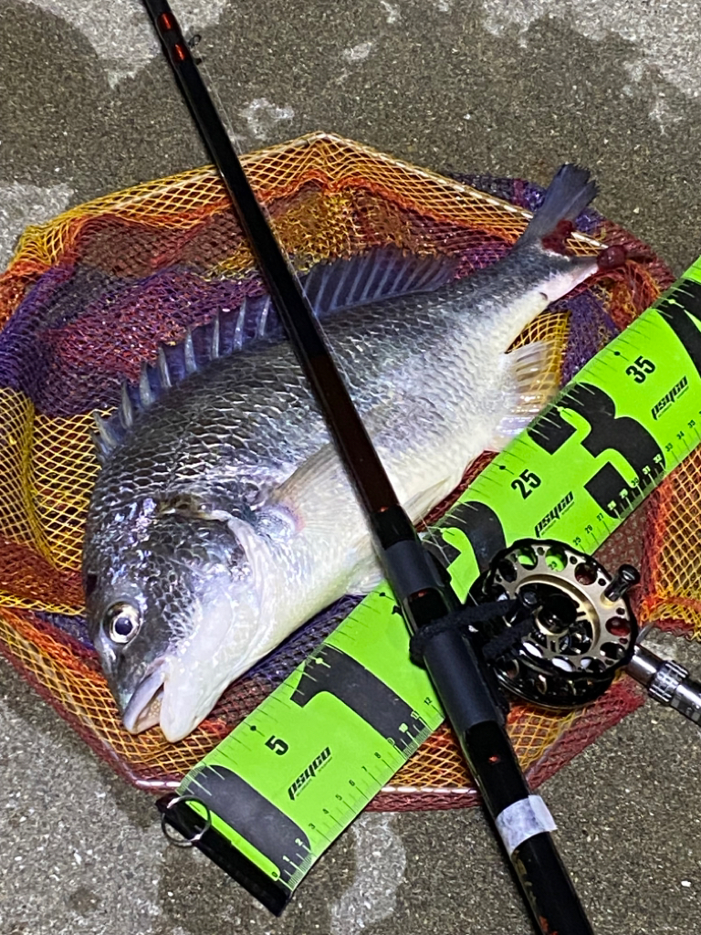 ヘチってきました