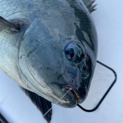 横島3番クロ釣り❗️