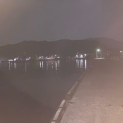 アジング、メバリング