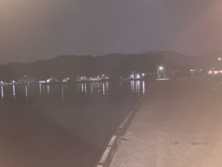 アジング、メバリング