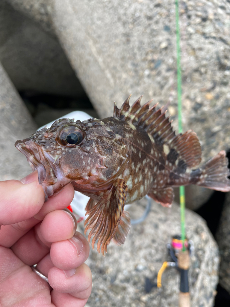 帰ってきた穴釣りNo.2