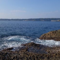 磯渡しデビュー戦