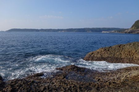 磯渡しデビュー戦