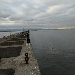 ヤイバ チヌ祭りに参加してきました