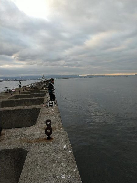 ヤイバ チヌ祭りに参加してきました