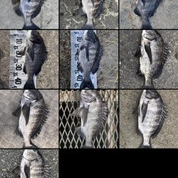 イチノ兄弟（兄）釣果！