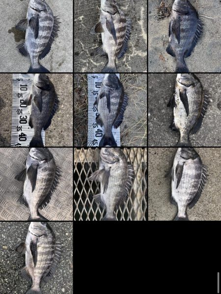 イチノ兄弟（兄）釣果！