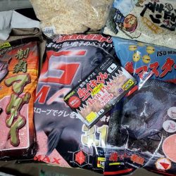 和歌山市江（吉丸渡船）でグレ釣り