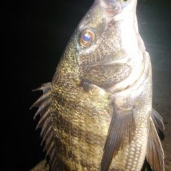 年明け1発目に事故🎵