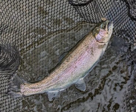 足柄キャスティングエリアで釣り納め