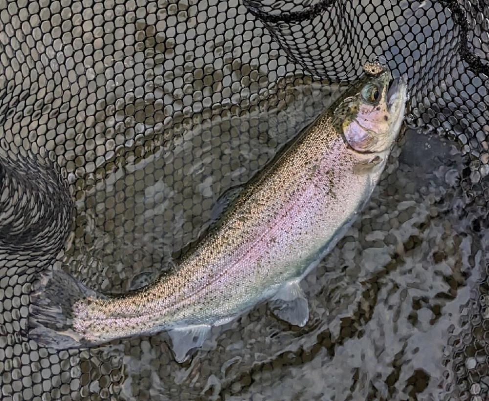 足柄キャスティングエリアで釣り納め