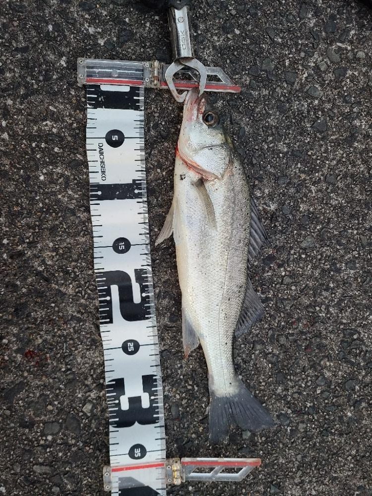 今年初の遠征(前半)