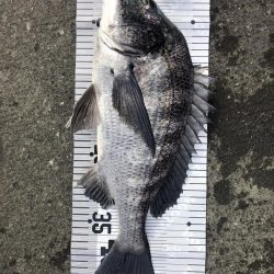 イチノ兄弟（兄）釣果！