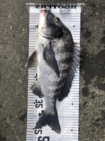 イチノ兄弟（兄）釣果！