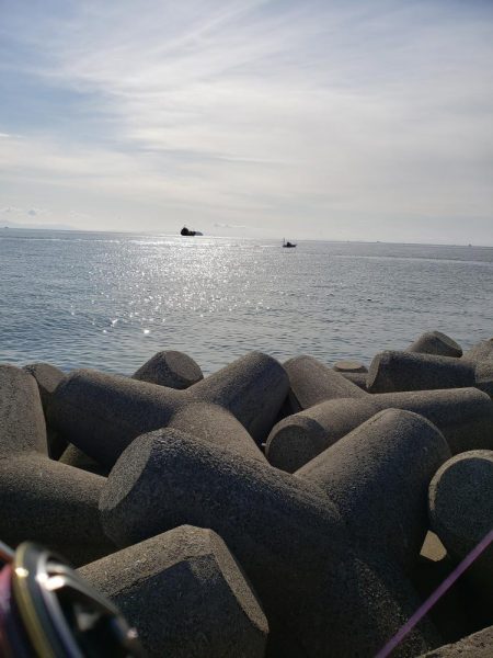 １ヶ月ぶりの鰤ならず