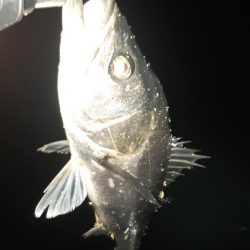 深夜から朝にかけて