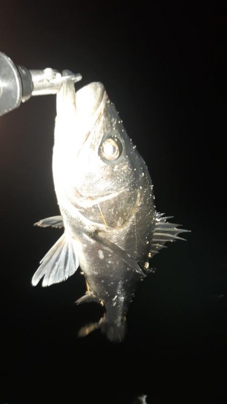 深夜から朝にかけて