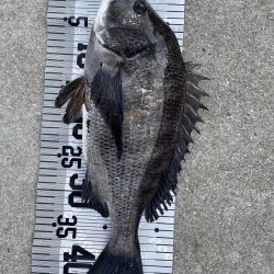 イチノ兄弟（兄）釣果！