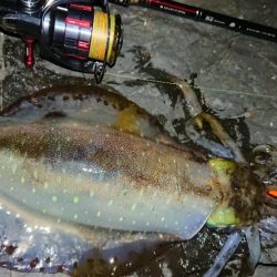 極寒・雪エギングIN対馬