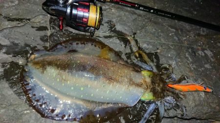 極寒・雪エギングIN対馬