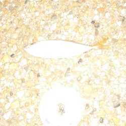 わかってはいたものの